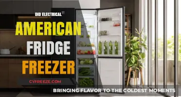 Exploring the Energy Efficiency of American Fridge Freezers