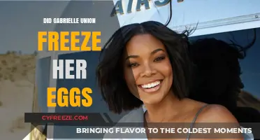 Gabrielle Union's Fertility Journey: Did She Freeze Her Eggs?