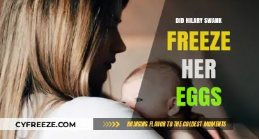 Hilary Swank's Fertility Journey: Did She Freeze Her Eggs?