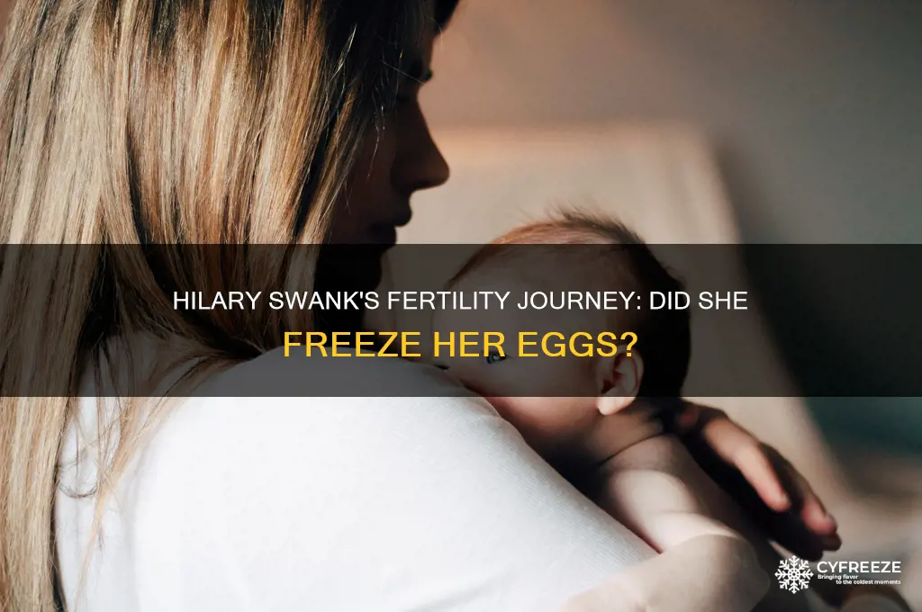 did hilary swank freeze her eggs