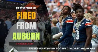 Hugh Freeze's Auburn Exit: Fired or Mutual Decision?