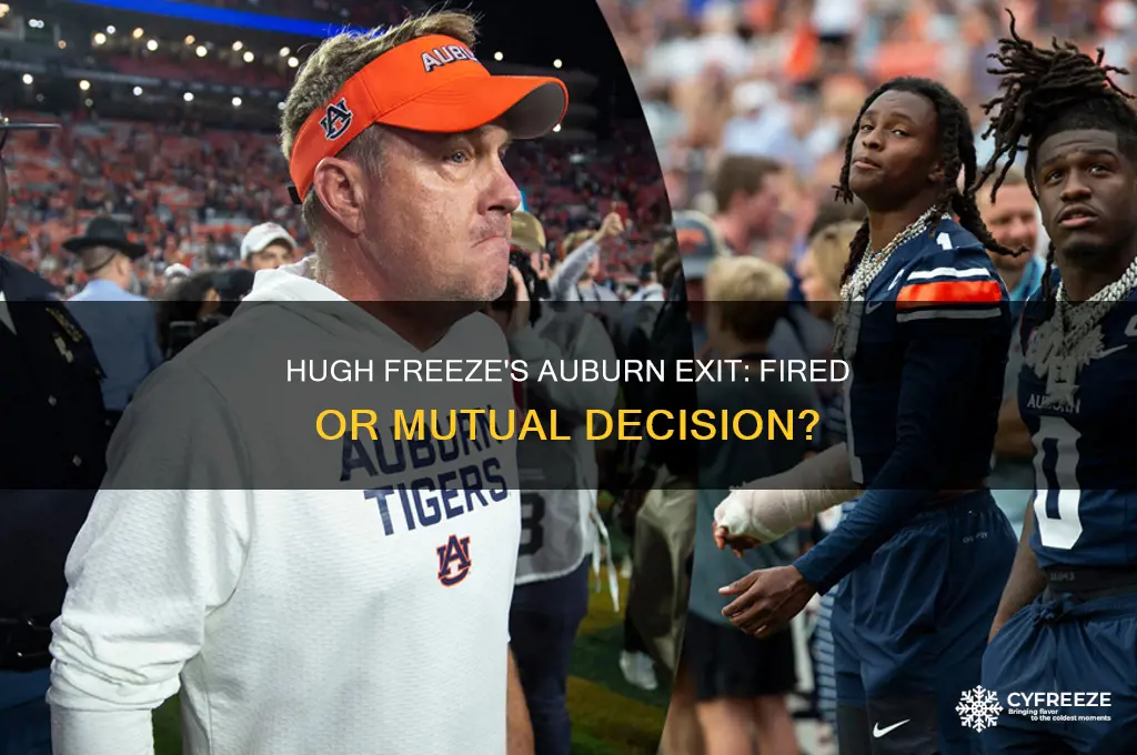 did hugh freeze get fired from auburn