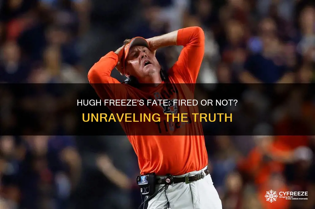 did hugh freeze get fired