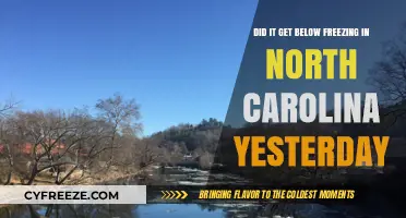 North Carolina's Chilling Drop: Did Temperatures Fall Below Freezing Yesterday?