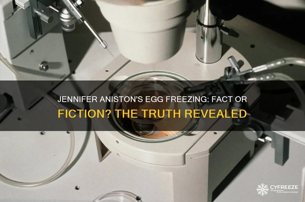 did jennifer aniston freeze her eggs