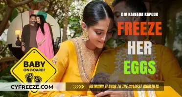 Kareena Kapoor's Egg Freezing Decision: Fact or Fiction?