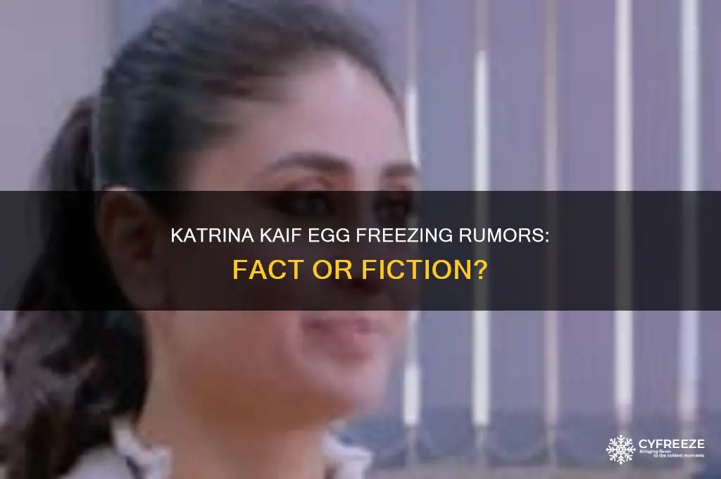 did katrina kaif freeze her eggs
