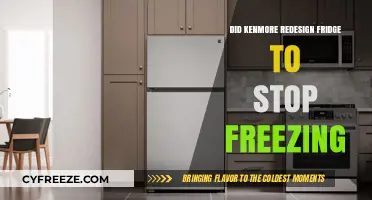 Kenmore's New Fridge Design: No More Freezing Issues?