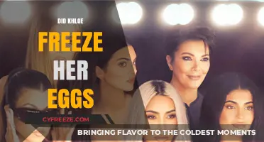 Khloe Kardashian's Fertility Journey: Did She Freeze Her Eggs?