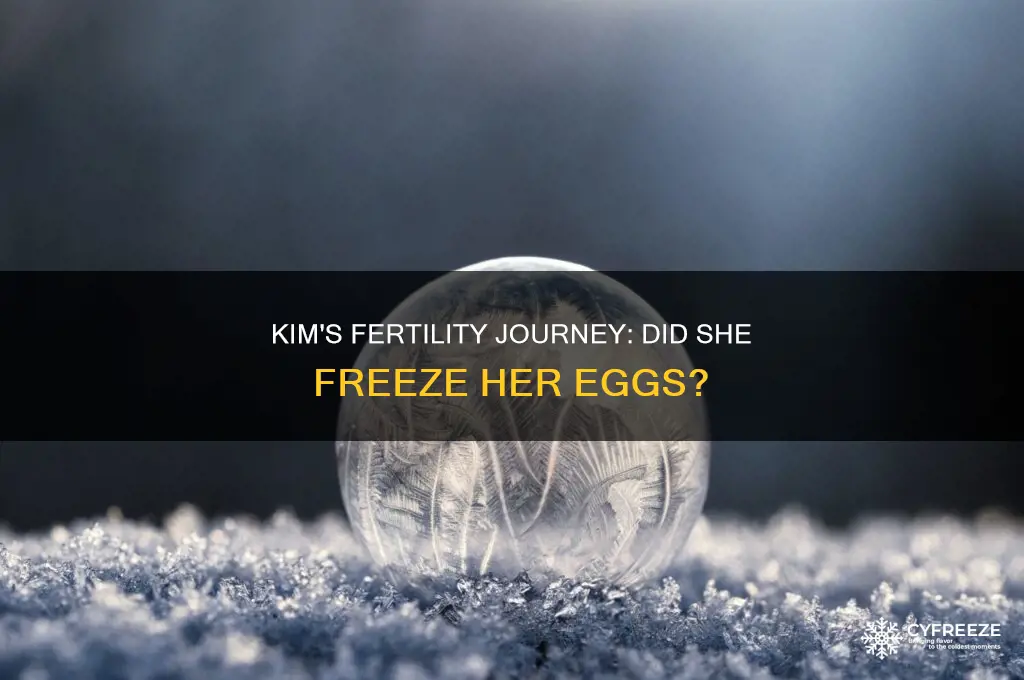 did kim freeze her eggs