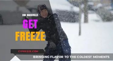 Did Knoxville Experience a Freeze? Exploring the City's Recent Weather