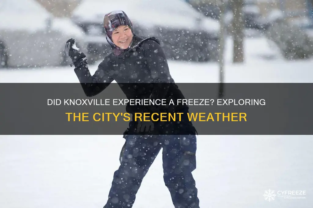 did knoxville get freeze