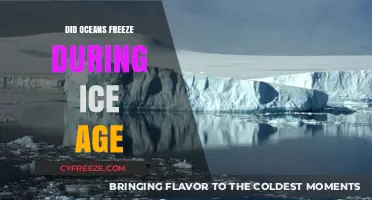 Exploring the Depths: Did Oceans Freeze During the Ice Age?