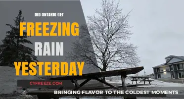 Freezing Rain in Ontario: Yesterday's Weather Recap and Impact