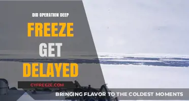 Operation Deep Freeze: Delayed or On Track? Unraveling the Timeline