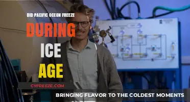 Did the Pacific Ocean Freeze During the Ice Age?