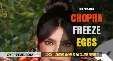 Priyanka Chopra's Egg Freezing Decision: Fact-Checking the Rumors