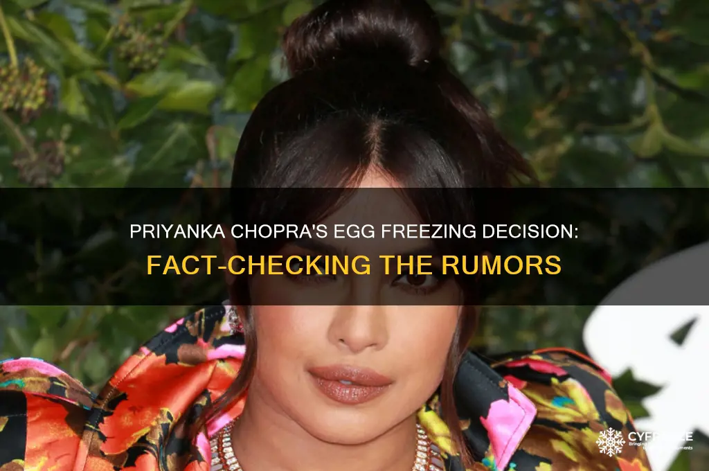 did priyanka chopra freeze eggs