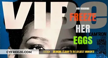 Rihanna's Family Planning: Did She Freeze Her Eggs?