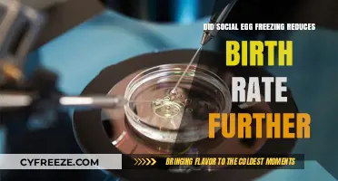 Social Egg Freezing: Impact on Declining Birth Rates Explored