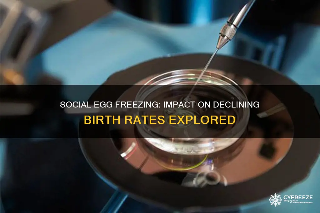 did social egg freezing reduces birth rate further