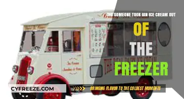 The Great Ice Cream Heist: Who Took Ian's Frozen Treat?