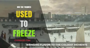 When the Thames Froze: Exploring London's Historic Frozen River