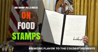 Examining the Impact of Trump's Policies on Food Stamp Recipients