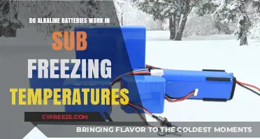 Alkaline Batteries in Sub-Freezing Temps: Performance and Limitations Explained