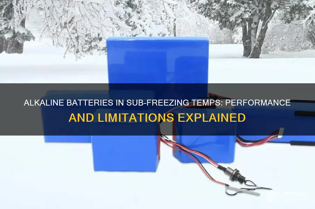 do alkaline batteries work in sub freezing temperatures
