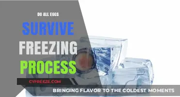 Can All Eggs Survive Freezing? Uncovering the Truth About Egg Preservation