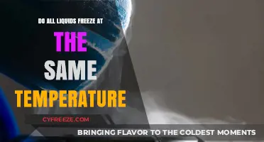 Do All Liquids Freeze Alike? Exploring Temperature Variations in Solidification