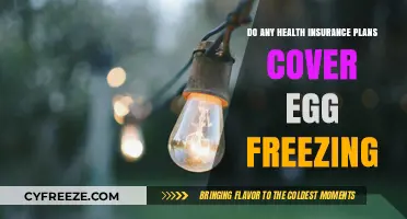 Does Health Insurance Cover Egg Freezing? What You Need to Know