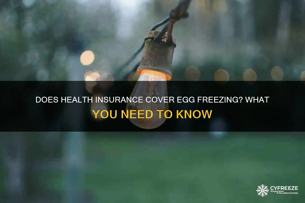 do any health insurance plans cover egg freezing