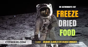 Savoring Space Cuisine: The Freeze-Dried Food Astronauts Love