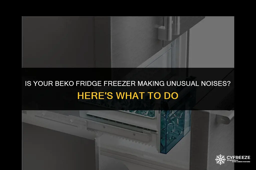 do beko fridge freezer making strange noises