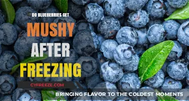 Do Blueberries Get Mushy After Freezing? A Complete Guide