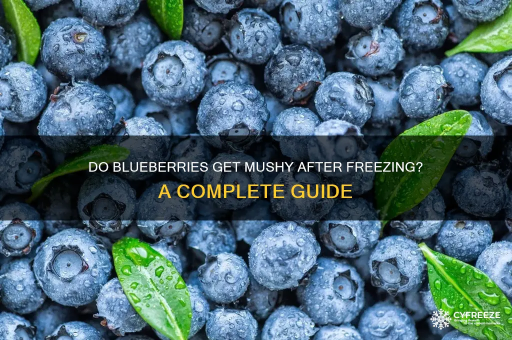 do blueberries get mushy after freezing