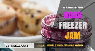 Delicious Blueberry Freezer Jam: A Simple and Tasty Recipe