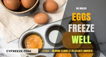 Can You Freeze Boiled Eggs? Tips for Proper Storage and Safety