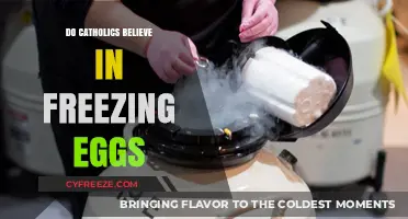 Catholic Perspectives on Egg Freezing: Faith, Ethics, and Modern Choices