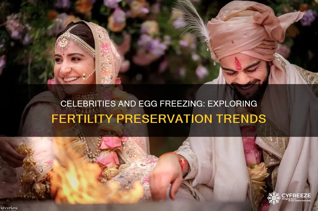 do celebrities freeze their eggs