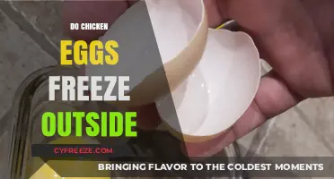 Surprising Truth: Can Chicken Eggs Really Freeze Outside?