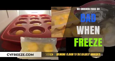 The Ultimate Guide to Freezing Chicken Eggs: Shelf Life and Safety Tips