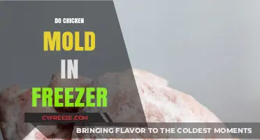 The Truth About Chicken Mold in the Freezer: Facts and Myths