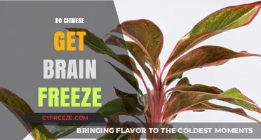 Brain Freeze in China: Cultural Insights and Scientific Explanations