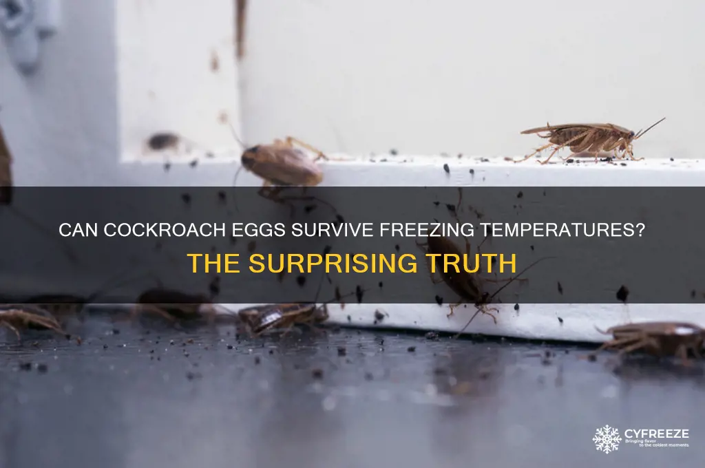 do cockroach eggs survive freezing