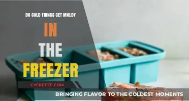 Can Food Mold in the Freezer? Debunking Common Myths