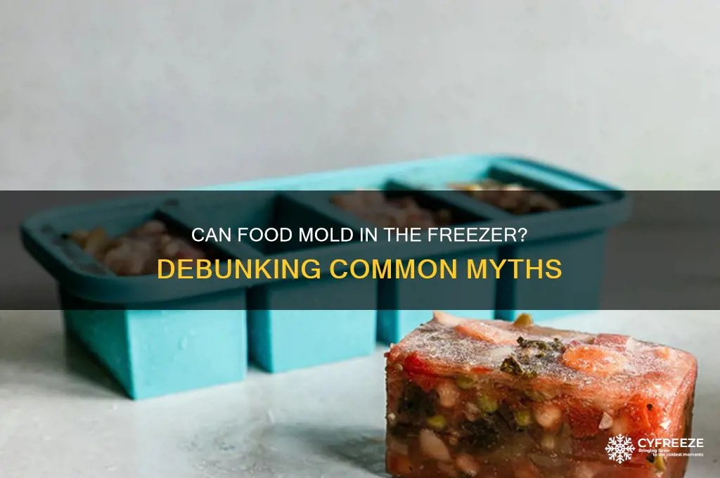 do cold things get moldy in the freezer
