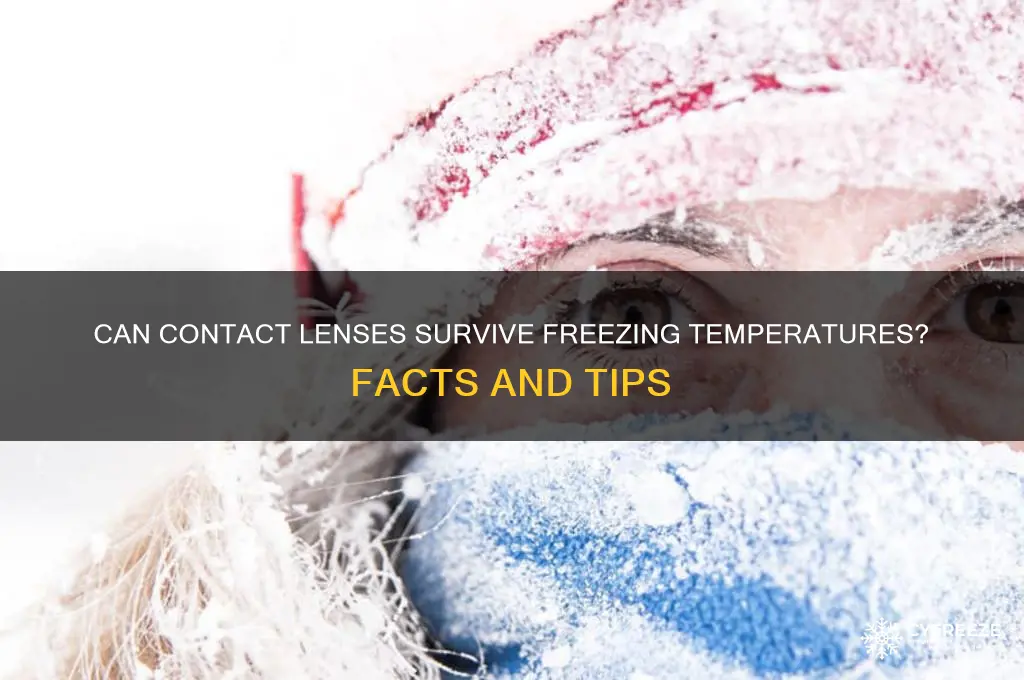 do contact lenses get ruined if it freezes